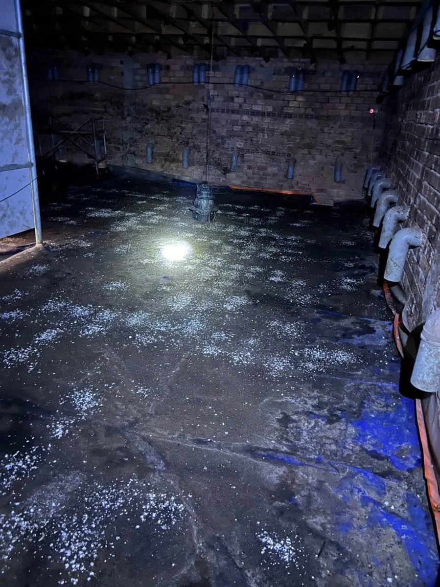 Bán đất thổ cư 10x45m kèm nhà yến 3 sàn gần KCN Giang Điền, An Viễn, Đồng Nai - Ảnh thu nhỏ 2