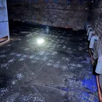 Bán đất thổ cư 10x45m kèm nhà yến 3 sàn gần KCN Giang Điền, An Viễn, Đồng Nai - Ảnh thu nhỏ 2