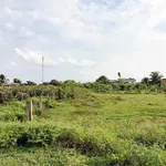 Bán đất cây trồng 180m² gần Phan Thiết, sổ riêng 120 triệu - Ảnh thu nhỏ 2
