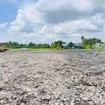 Bán đất xây dựng nhà vườn 1142m² ở Tân Trụ Long An - Ảnh thu nhỏ 2