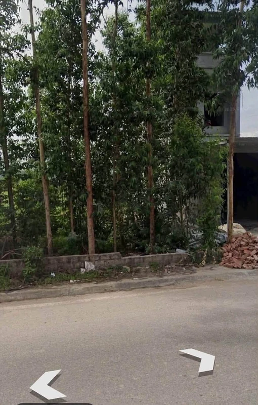 Bán lô đất 80m² mặt tiền Quốc lộ 37 Hải Phòng