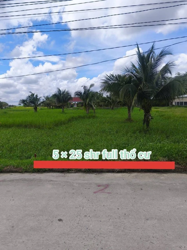 Bán 1 công đất vườn 850 triệu Bình Đức Bến Lức ql37