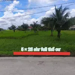 Bán đất 125m² Đức Hòa Thượng, Long An 850 triệu - Ảnh thu nhỏ 1