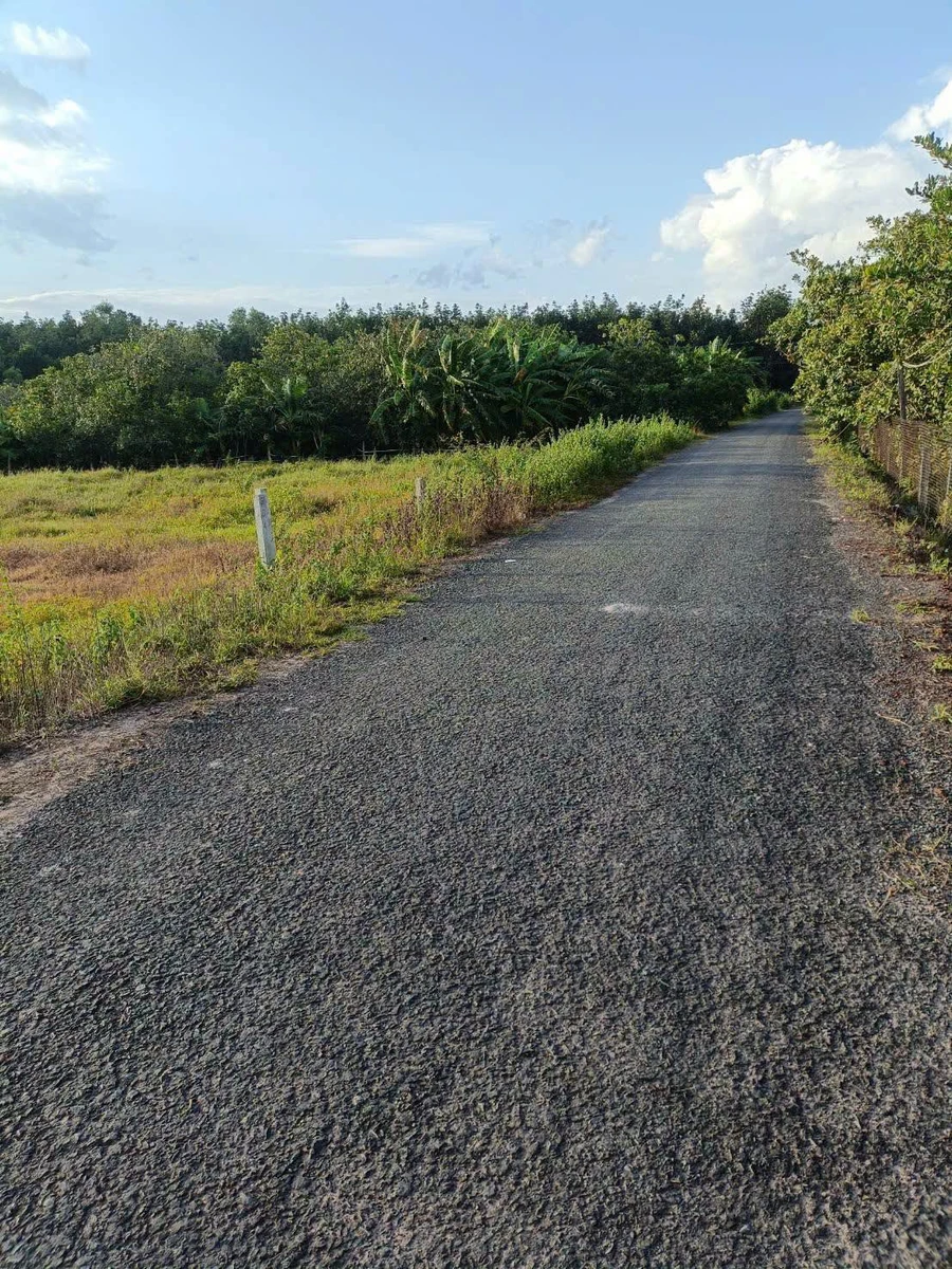 Bán đất mặt tiền đường nhựa 5x34m thổ cư 60m2 tại Thạnh Bình, Tân Biên, Tây Ninh - Ảnh thu nhỏ 4