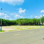 Đất xây trọ MT đường nhựa liền kề KCN Minh Hưng - Ảnh thu nhỏ 10