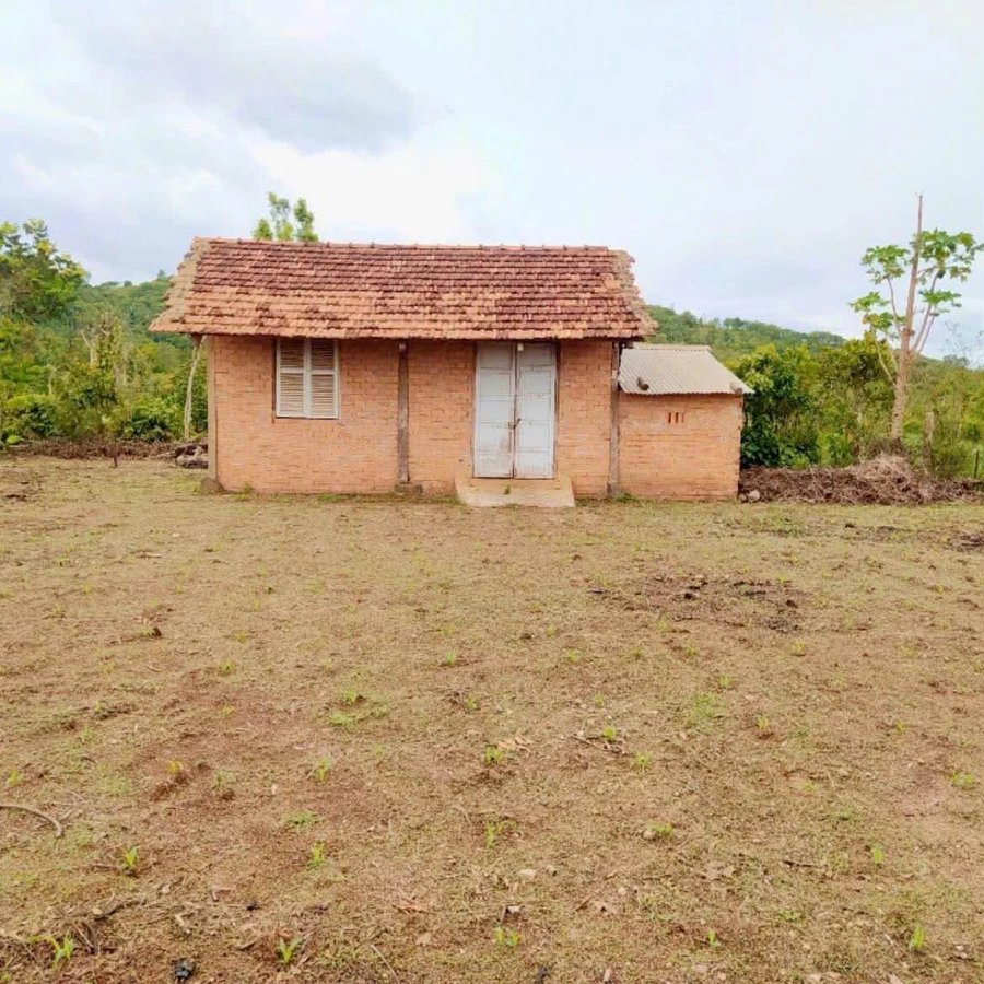 Bán đất làm nhà vườn hoặc kho 1.155m² Bình Chánh - Ảnh thu nhỏ 3