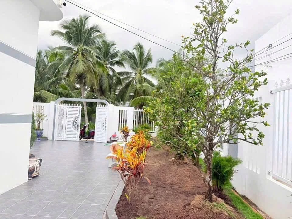 Biệt thự sân vườn 363m² Phú Tân, Bến Tre, 2.7 tỷ - Ảnh thu nhỏ 5