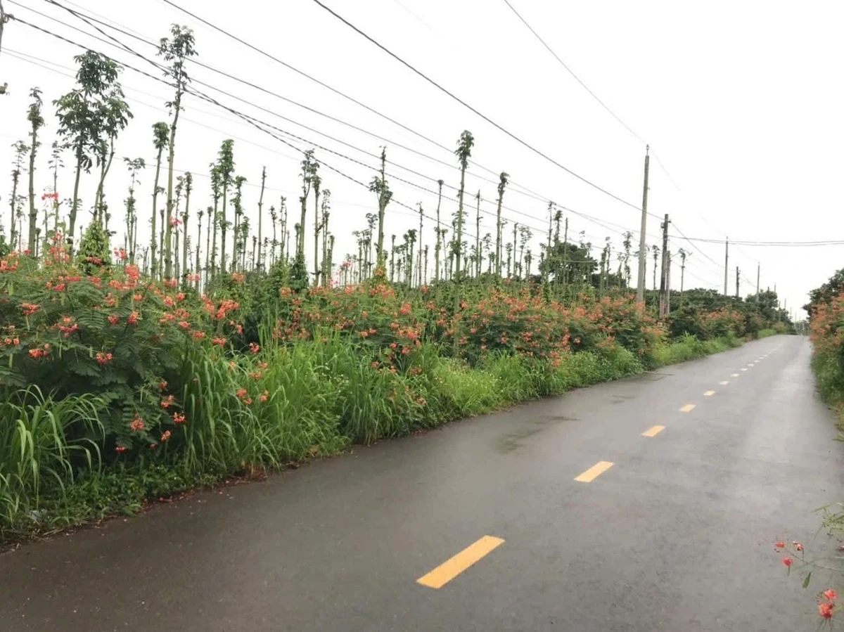 Bán 5.000m² đất Sông Ray, Đồng Nai, 2 mặt tiền, 14 tỷ - Ảnh thu nhỏ 4