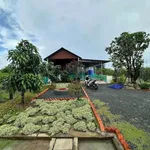 Bán nhà vườn 1.000m² với ao cá, cây ăn trái tại Long An - 1 tỷ 150 - Ảnh thu nhỏ 5