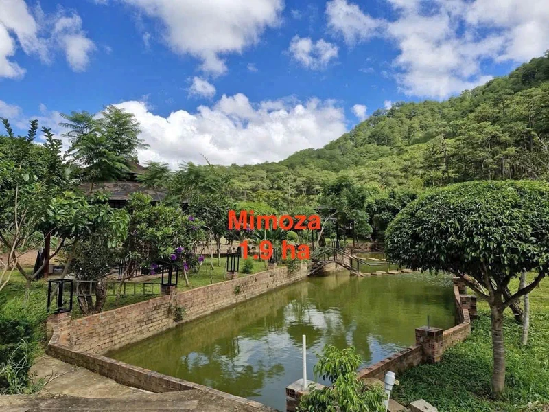 Bán gấp lô đất 19.000m2 mặt tiền Mimoza, Đà Lạt, 40 tỷ
