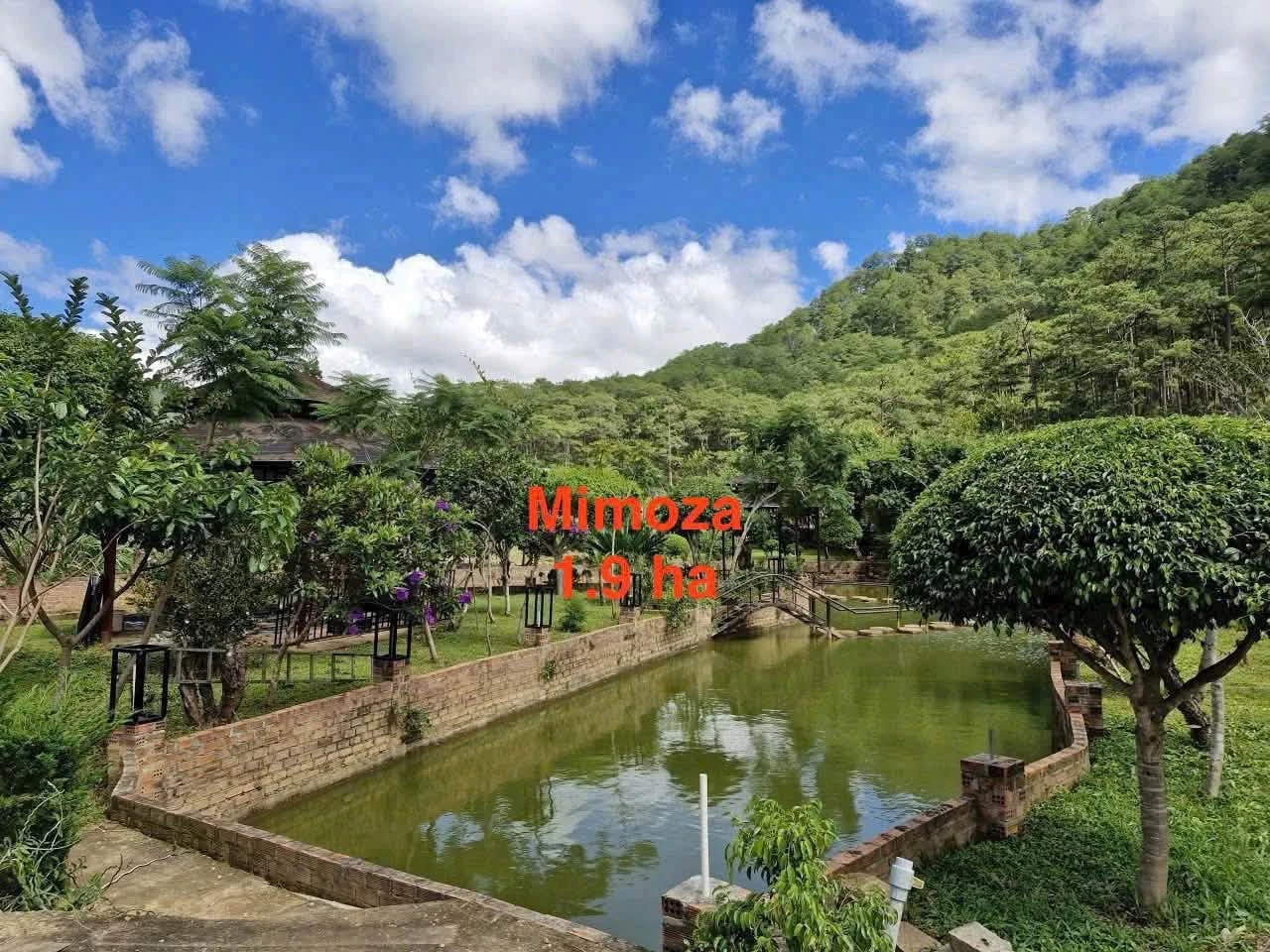 Bán gấp lô đất 19.000m2 mặt tiền Mimoza, Đà Lạt, 40 tỷ - Ảnh 1