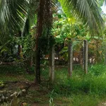 Bán đất gần 800m2 xã Phú An Hoà Châu Thành giá 1,9 tỷ - Ảnh thu nhỏ 1