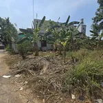 Bán đất vườn 976m² Long Hưng, Đồng Nai, 9,49 tỷ - Ảnh thu nhỏ 5
