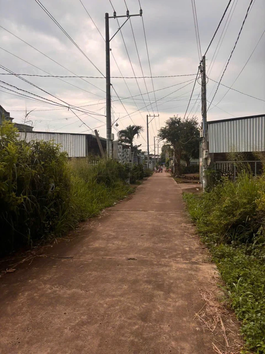 Bán đất 2.619m² sát TL 765 Sông Ray, Đồng Nai 2,5 tỷ - Ảnh thu nhỏ 4