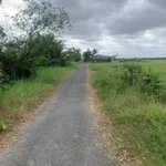 Bán đất Nhà Bè 3267m2, đường nhựa 99m, 25 triệu/m2 - Ảnh thu nhỏ 2