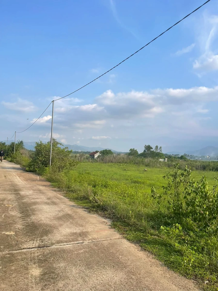 Bán 2,5ha đất Diên Lâm, Khánh Hòa – 5,5 tỷ - Ảnh 1