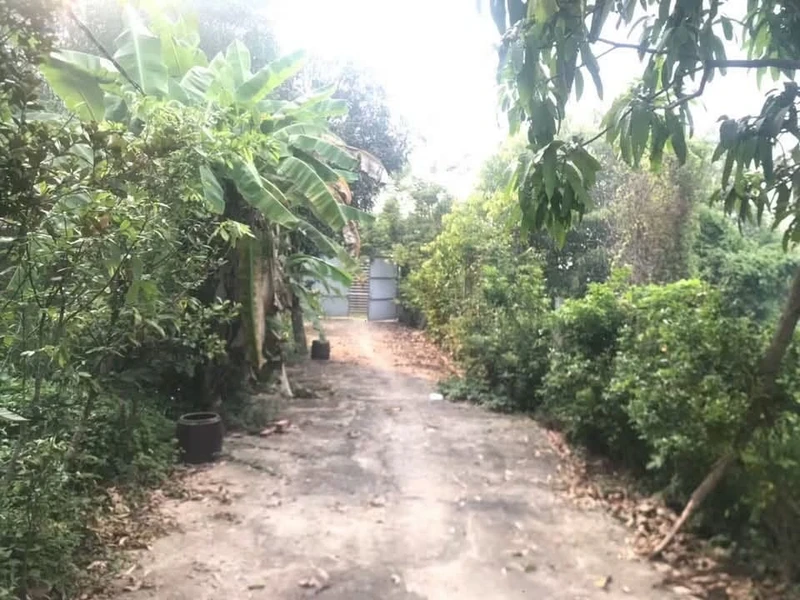 Bán đất vườn 1.456m² Tương Bình Hiệp, Thủ Dầu Một, giá 17,5 tỷ