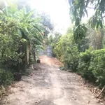 Bán đất vườn 1.456m² Tương Bình Hiệp, Thủ Dầu Một, giá 17,5 tỷ - Ảnh thu nhỏ 1