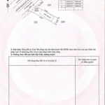 Bán đất mặt tiền An Thạnh, Nhà Bè 203m2 - Ảnh thu nhỏ 4