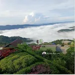 Chính chủ bán biệt thự cổ 2692m2 view săn mây siêu siêu đẹp tại Trạm Hành - Đà Lạt - Ảnh thu nhỏ 8