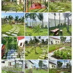 Bán villa vườn 1.606m² xã Hàm Liêm, Lâm Đồng, 1.85 tỷ - Ảnh thu nhỏ 2