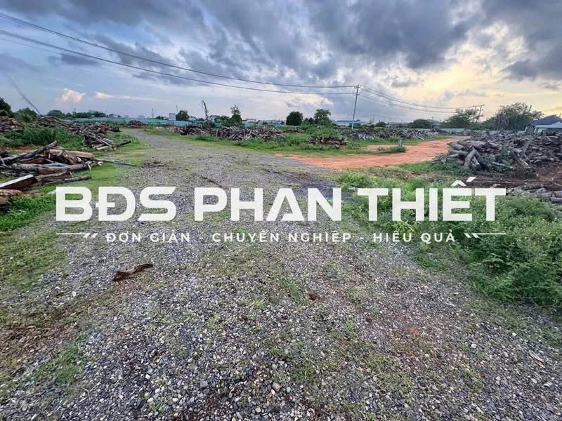 Bán đất 2002.9 m² Hàm Thắng, Bình Thuận 3 tỷ
