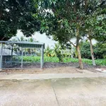 Bán đất kèm vườn 408m2 Châu Thành An Giang 1 tỷ 950 triệu - Ảnh thu nhỏ 5
