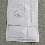 Bán đất nông nghiệp 1.9 ha Tân Lợi, Đồng Nai, 2 tỷ - Ảnh thu nhỏ 2