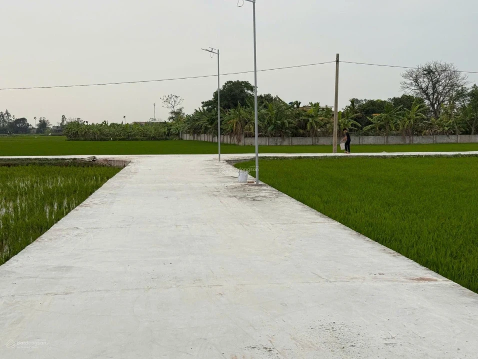 Bán đất 120m² tại Thôn Thiện Tường, Xã Nam Thịnh, Huyện Tiền Hải, giá nhỉnh 5 trăm triệu - Ảnh 1