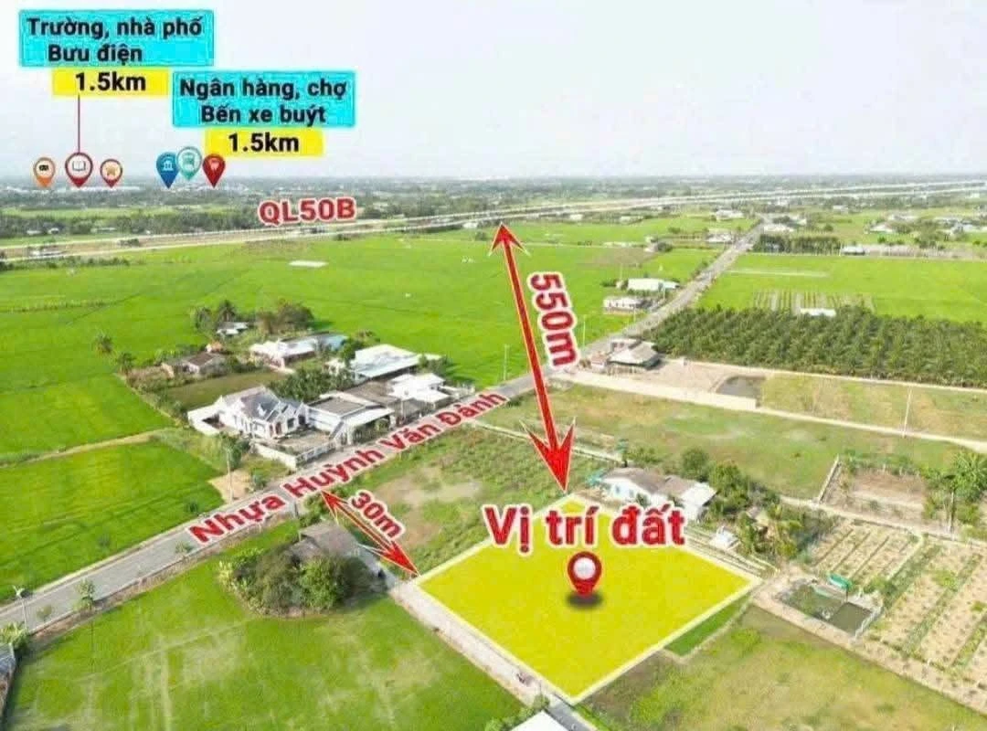 Bán đất 725m² xây nhà vườn Tân Trụ, Tây Ninh, 1.3 tỷ - Ảnh thu nhỏ 5