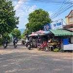Bán đất vườn 1000m² Long Khánh Đồng Nai 1.55 tỷ - Ảnh thu nhỏ 3