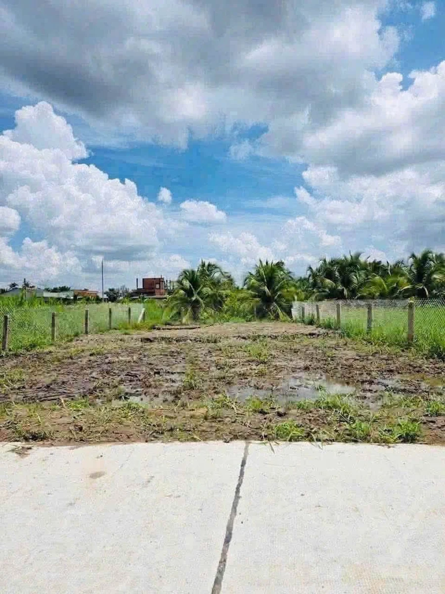 Bán 299m² đất tại Phú Ngãi Trị, Long An 630 triệu - Ảnh thu nhỏ 2