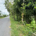 Đất gần biển, view kênh mặt tiền nhựa ĐT871C xã Tân Điền, Gò Công Đông Tiền Giang, 359 m2 giá 1,4tỷ - Ảnh thu nhỏ 4