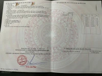 Cần ra nhanh lô đất diện tích 1.153m2 Xã Ninh Tây, Ninh Hòa, Khánh Hòa, có thổ cư - Ảnh thu nhỏ 5