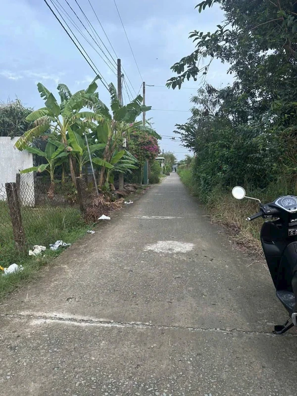 Bán đất lúa 1100m² Châu Thành Long An, 1 tỷ 150 triệu