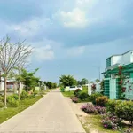 Bán nhà sân vườn 456m2, 3 phòng ngủ, Bình Chánh 2,9 tỷ - Ảnh thu nhỏ 4
