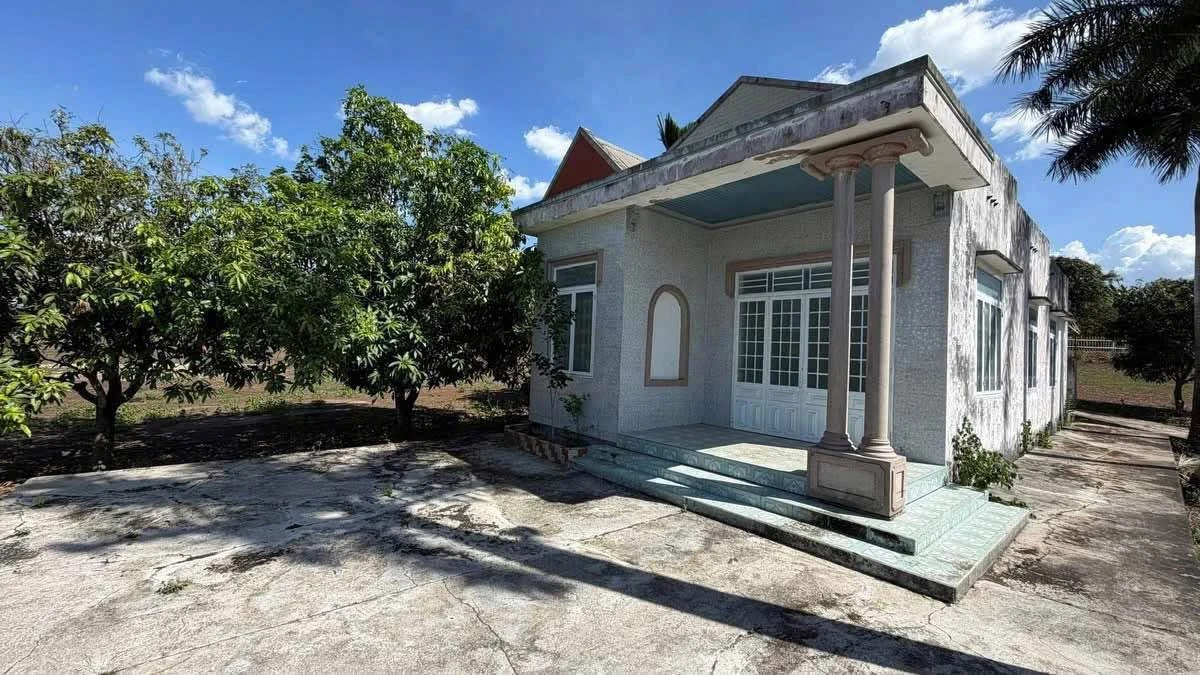 Bán đất vườn Xuân Lộc 21.810m² view núi, 7,6 tỷ - Ảnh 1