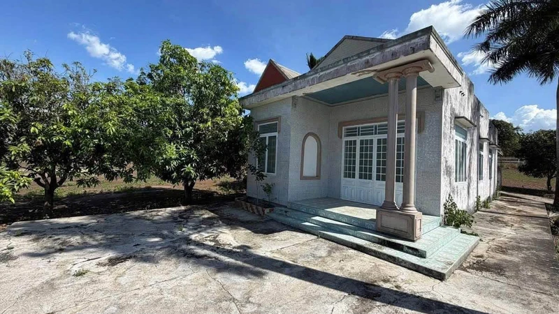 Bán đất vườn Xuân Lộc 21.810m² view núi, 7,6 tỷ