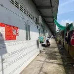 Bán đất mặt tiền QL57B Giao Long Bến Tre 610m² - 8 tỷ - Ảnh thu nhỏ 3