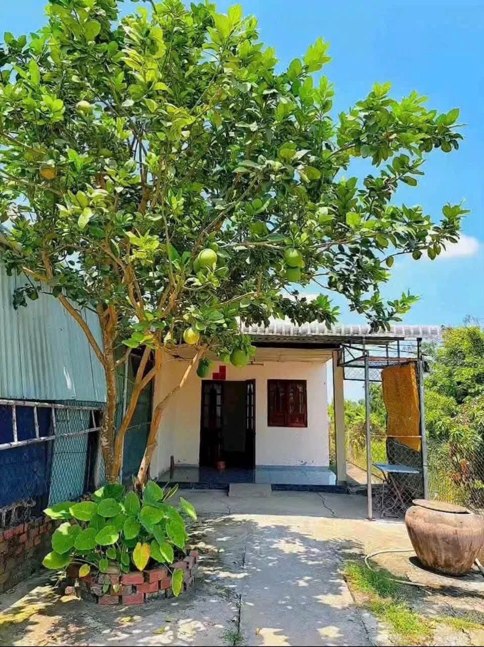 Bán lô đất thổ cư mặt tiền Lê Văn Tưởng, 250m², 1 tỷ 550 - Ảnh 1