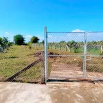 Bán đất gần 1 sào mặt tiền Hàm Liêm Hóc Môn 470 triệu - Ảnh thu nhỏ 1