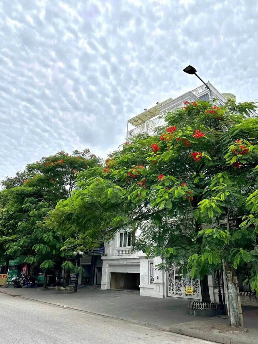 Bán nhà 5 tầng Hùng Vương Hải Phòng 200m² giá 36 tỷ - Ảnh 1