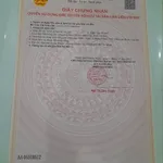 Bán nhà cấp 4 100m² Nguyễn Hữu Cảnh Bình Tân - Ảnh thu nhỏ 1