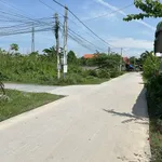 Bán đất thổ cư 5x23m sổ hồng đường Cầu Ông Hiệu, Long Hiệp, Bến Lức, Long An - Ảnh thu nhỏ 2