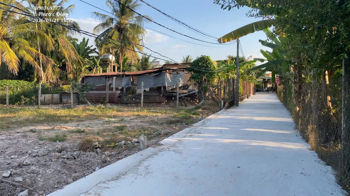 Bán đất thổ cư 50m² Gia Lộc, Tây Ninh cạnh KCN Phước Đông - Ảnh thu nhỏ 5