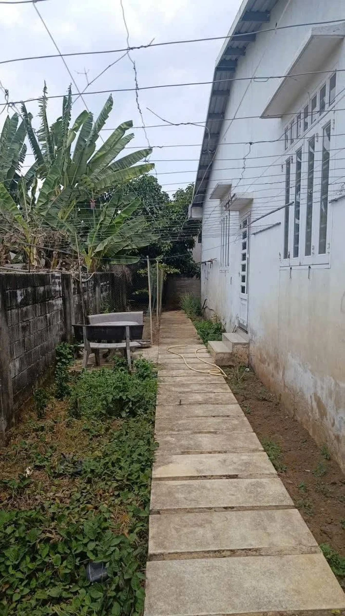 Bán nhà vườn Tân Hưng 360m2, 2 PN, 3 tỷ 8 - Ảnh thu nhỏ 4