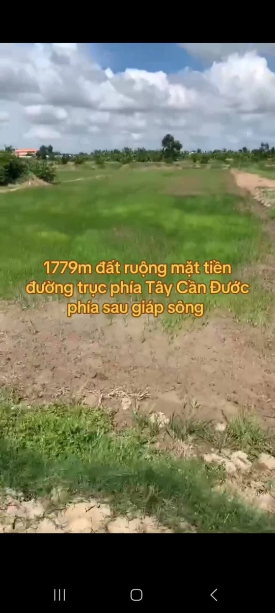 Bán đất nông nghiệp 1779m2 mặt tiền Cần Dước Long An - Ảnh thu nhỏ 2