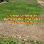 Bán đất nông nghiệp 1779m2 mặt tiền Cần Dước Long An - Ảnh thu nhỏ 2