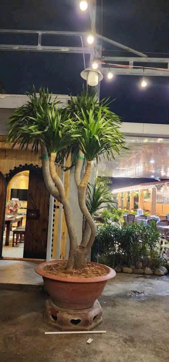 Bán nhà 540m² Tân Biên Bình Chánh, 7 tỷ - Ảnh thu nhỏ 3