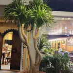 Bán nhà 540m² Tân Biên Bình Chánh, 7 tỷ - Ảnh thu nhỏ 3